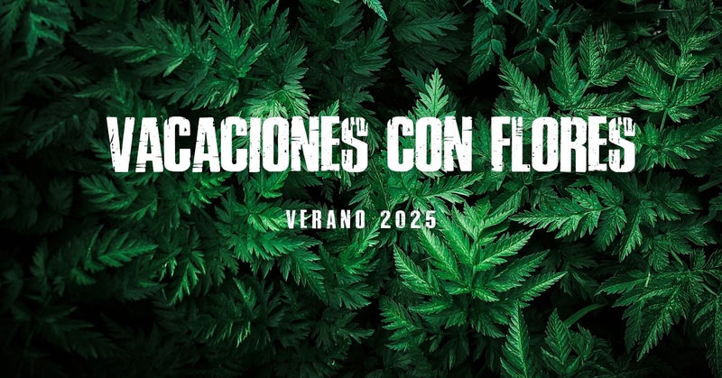 Verano 2025: vacaciones con flores