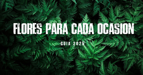 Flores para cada ocasión: guía 2025