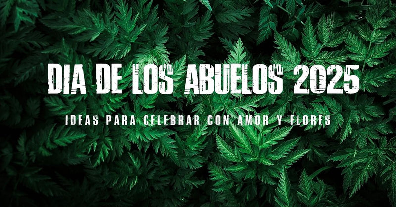 Día de los Abuelos 2025: ideas para celebrar con amor y flores