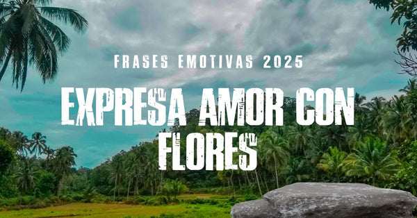 Frases emotivas 2025: expresa amor con flores