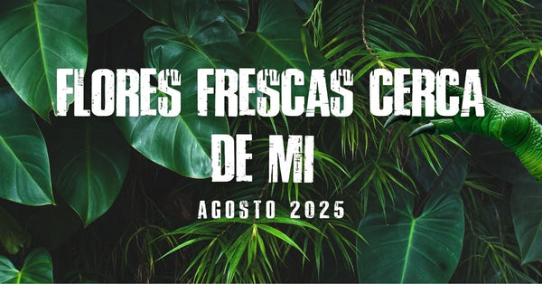 Flores frescas cerca de mí agosto 2025