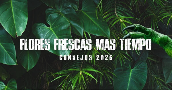 Flores frescas más tiempo: consejos 2025