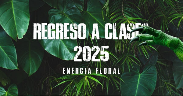 Regreso a clases 2025: energía floral