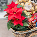 Dulce Nochebuena - Canasta Navideña