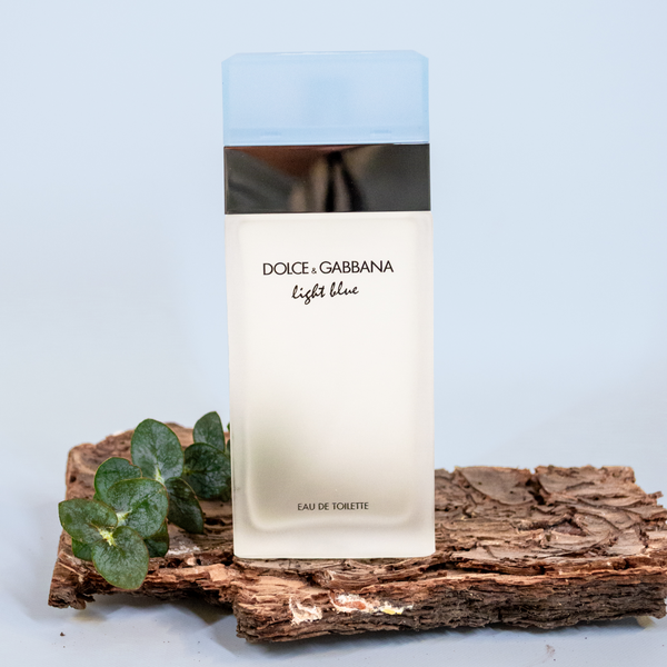 Dolce & Gabbana Light Blue / 100ml EDT