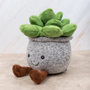 Suculenta / Peluches