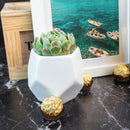 Kit / Momentos Únicos