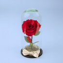 Rosa Eterna Bella y Bestia SV / Rosa en Cristal