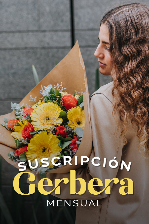 Suscripción Gerberas Mensual