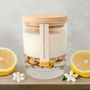 Vela Evocaria / Éxito