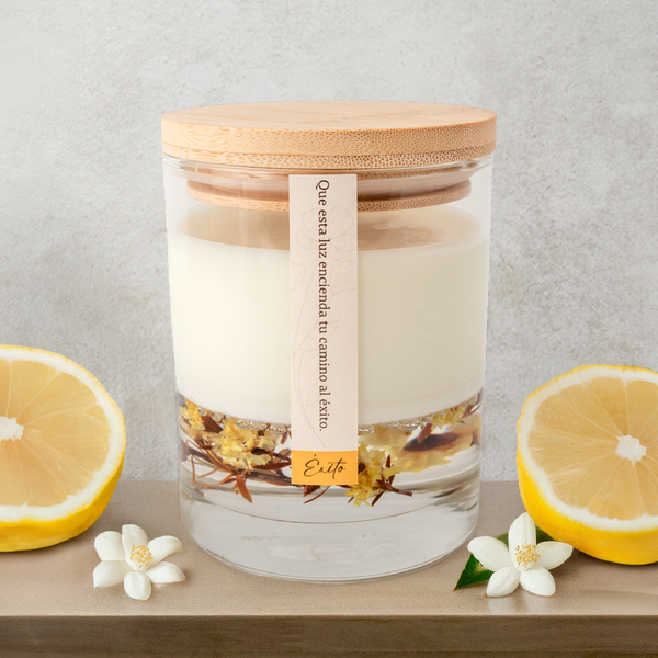 Vela Evocaria / Éxito