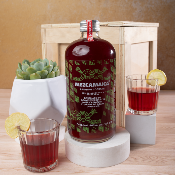 Kit Mezcamaica - Mezcal y Suculenta