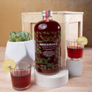 Kit Mezcamaica / Mezcal y Suculenta