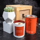 Kit Vela Mirium Topacio / con Vino Rosado o Tinto + Suculenta