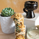 Kit Sahumerio / Copal, Vela Aromática o Suculenta